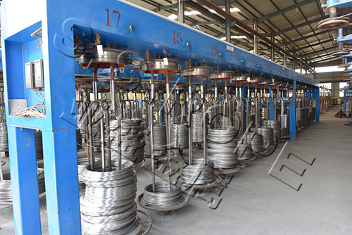 ��˿����